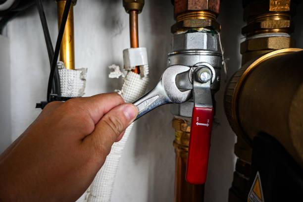 Best Plumbing Services Near Me  in Perezville, TX